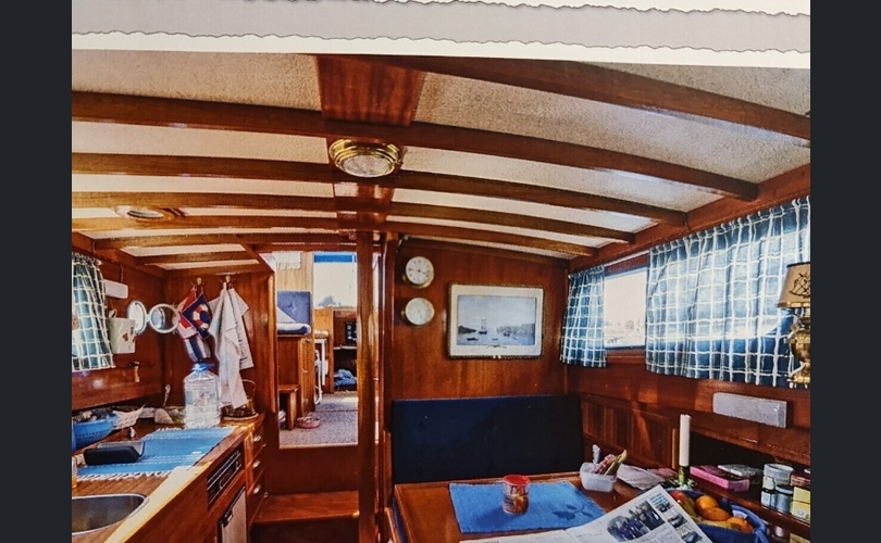 Family Cruiser Family Cruiser-kuva-4